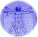 Systems of the Body