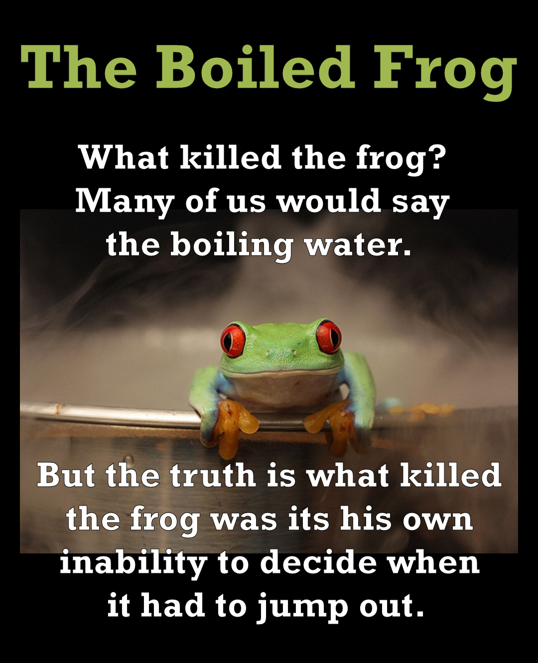 The Boiled Frog on DrStandley.com