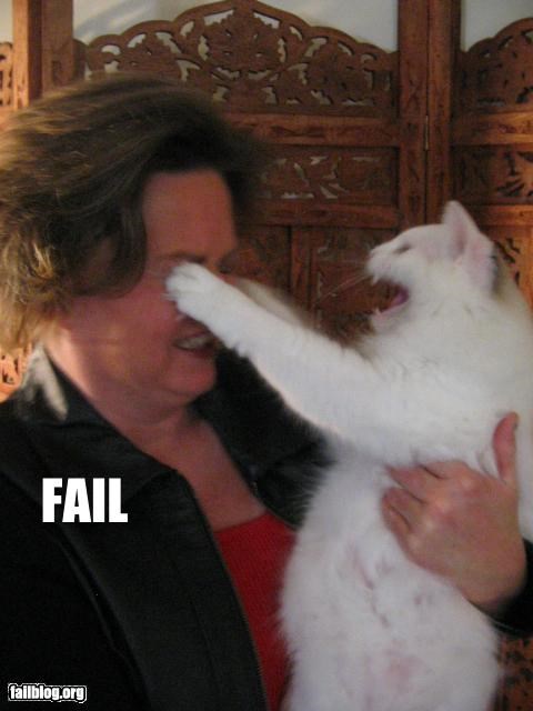 Cat Memes on DrStandley.com