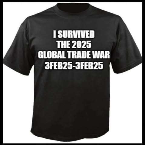 I survived the great trade war of February 3, 2025 on DrStandley.com