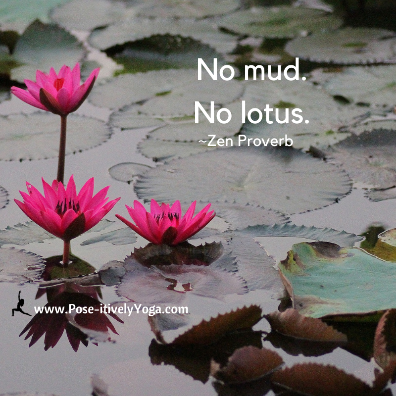 No mud, no lotus flower on DrStandley.com