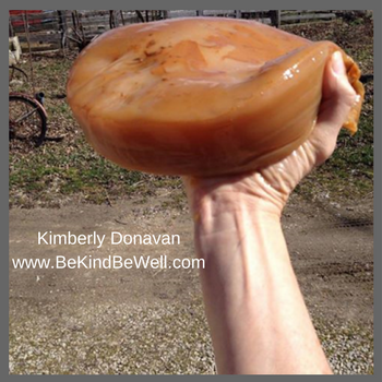 Do It Yourself Kombucha Tea with Kimberly Donavan, Contributing Writer on DrStandley.com