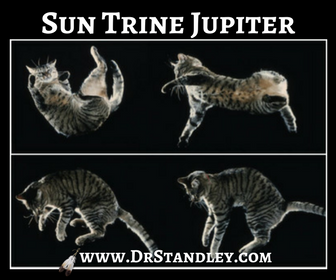 Sun trine Jupiter on DrStandley.com