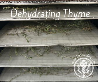 Dehydrating Thyme
