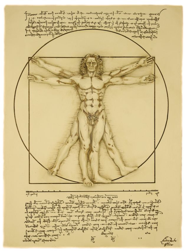 Body System