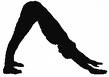 Downward Facing Dog