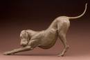 Downward Facing Dog